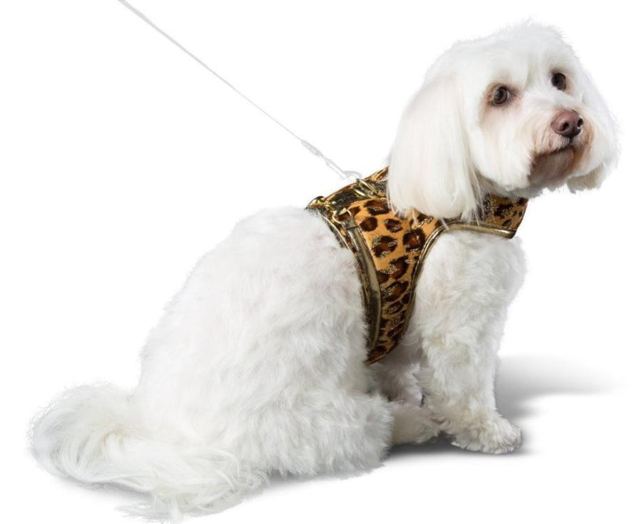 leopard harness, leopard dog harness, walkwear, dog harness