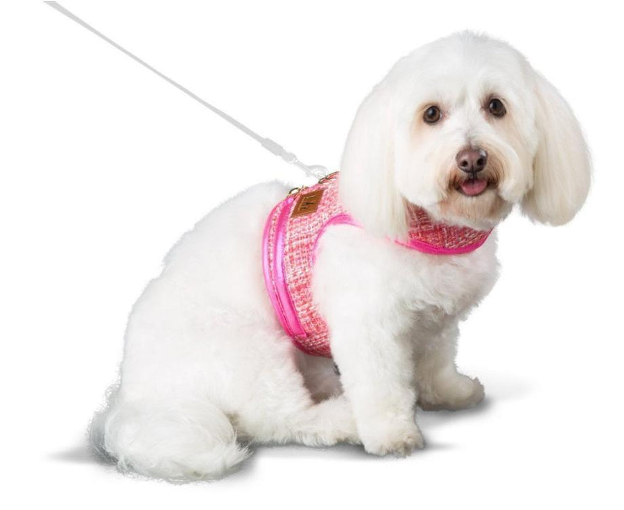 pink dog harness, dog harness, walk wear, dog walk